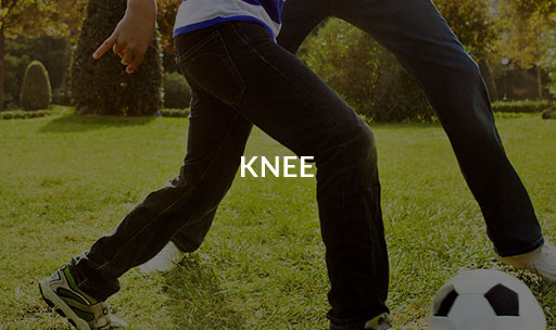 Orthopedic Surgery: Knee
