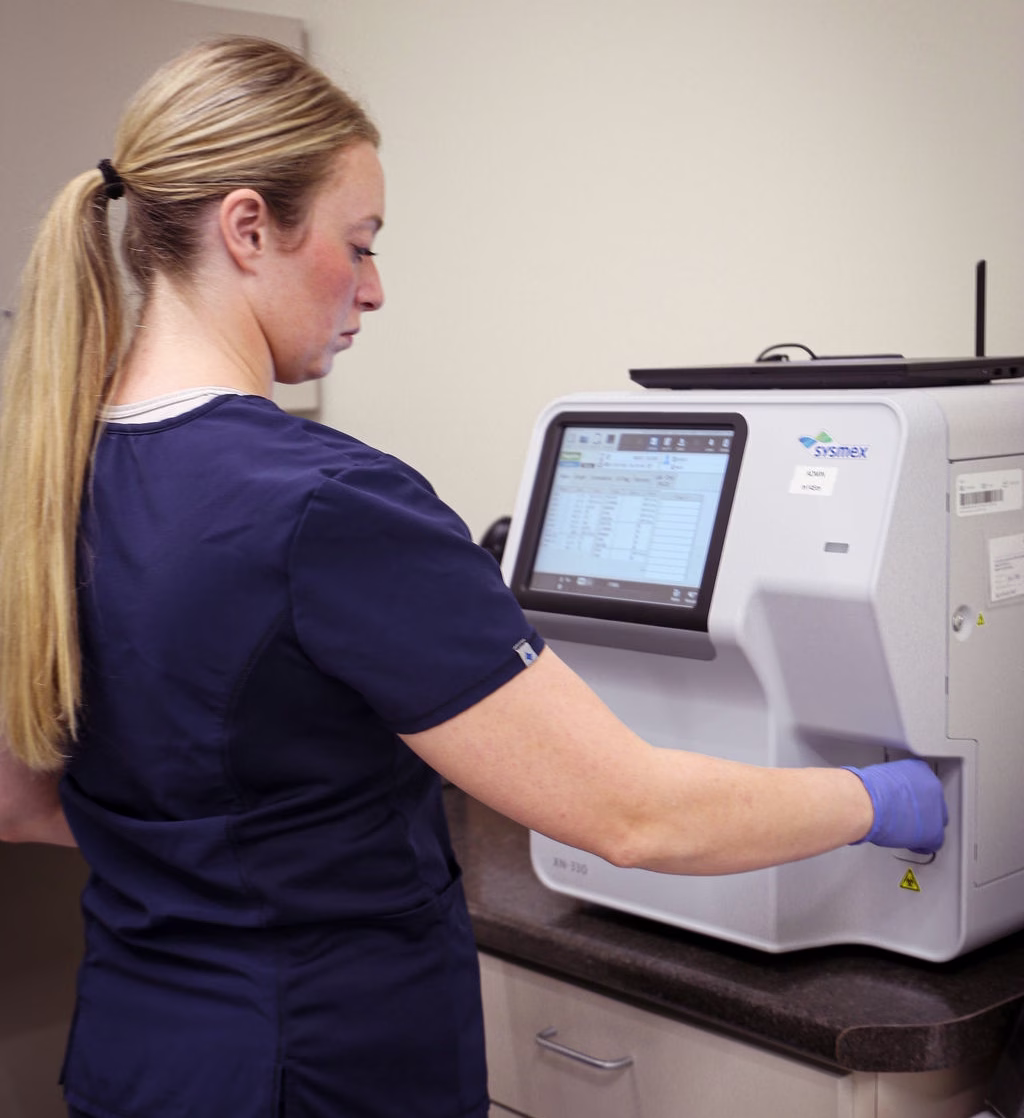 Sample being tested for platelet count in the Sysmex Blood Analyzer.